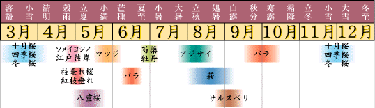 桜カレンダー