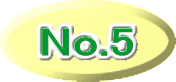 No.5