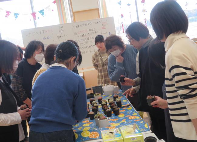 たくさんの多肉植物から