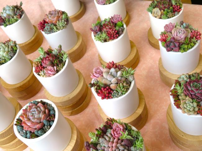 とても素敵な寄せ植えが完成しました！