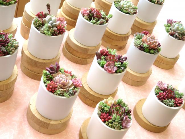 ひと足先に春を